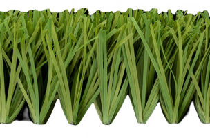 4-Stemgrass